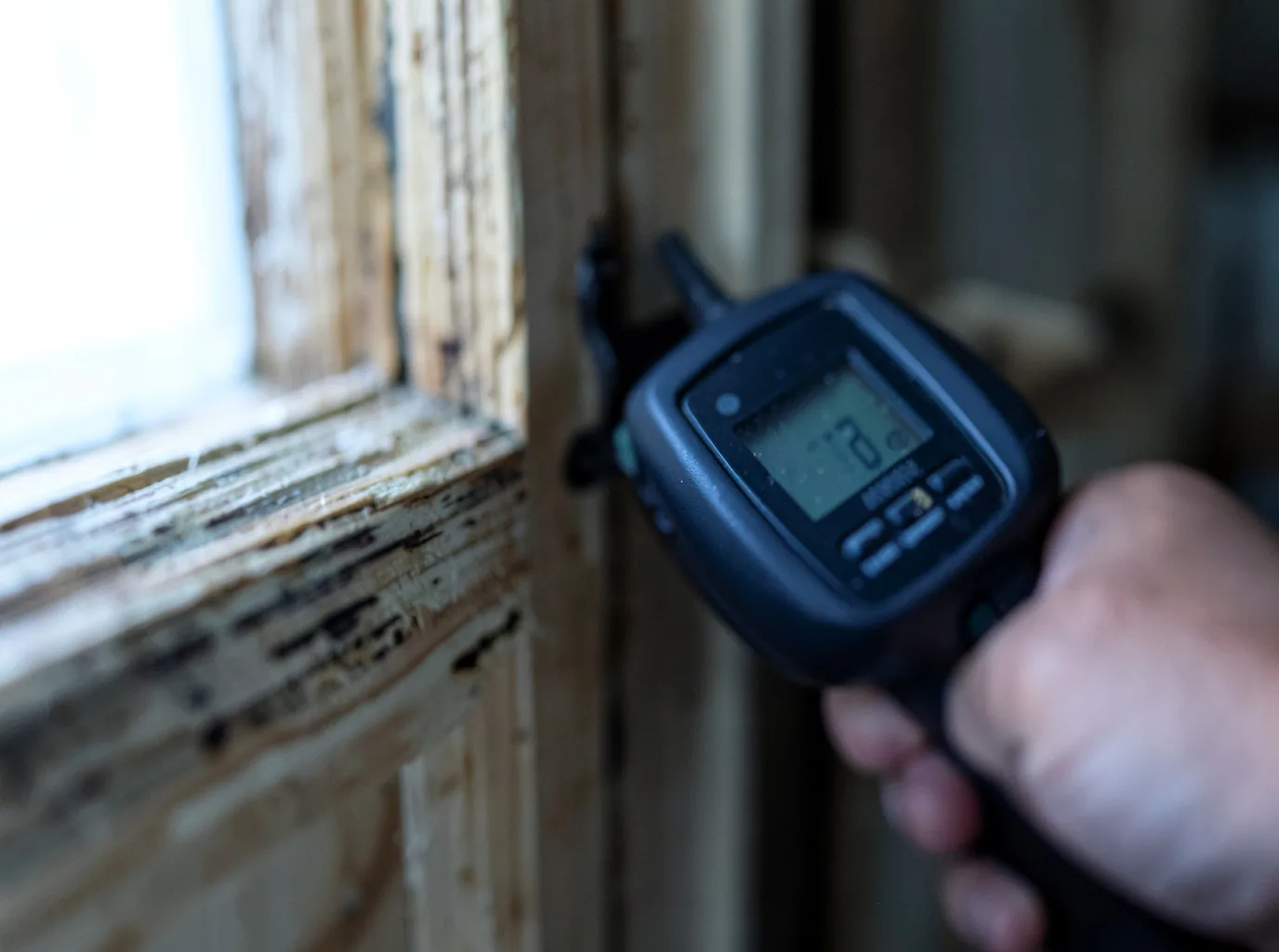 Water Damage Restoration Coleville, CA FAQs